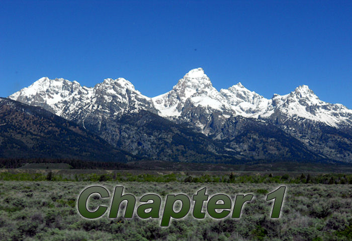 chapter1.jpg - 79418 Bytes