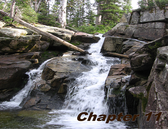 Chapter 11