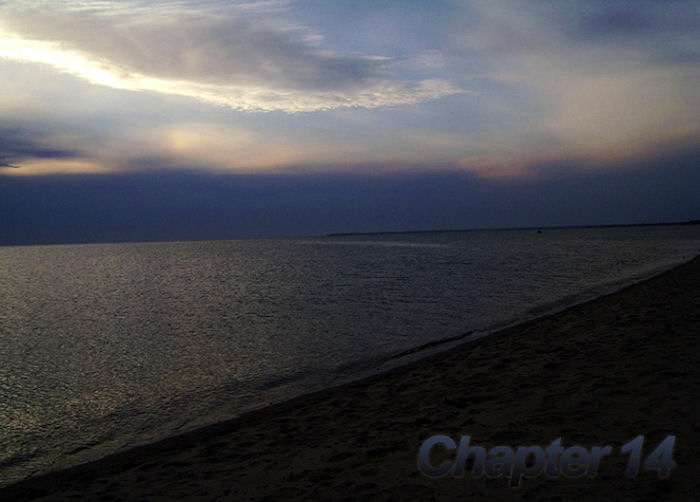 Chapter 14