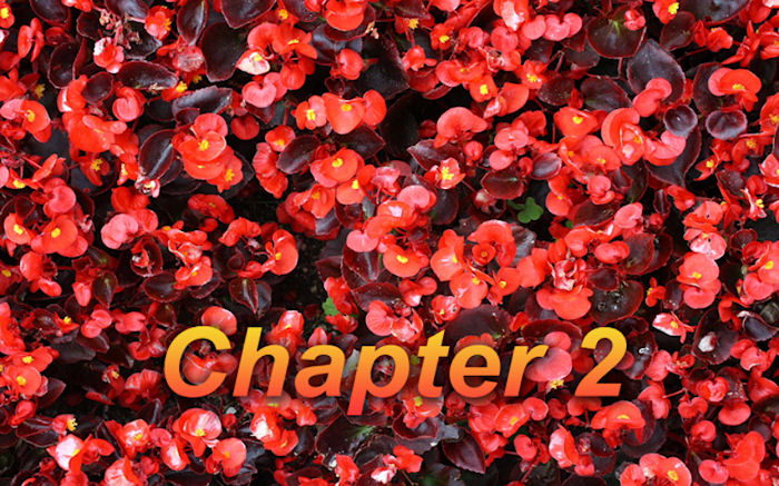 Chapter 2