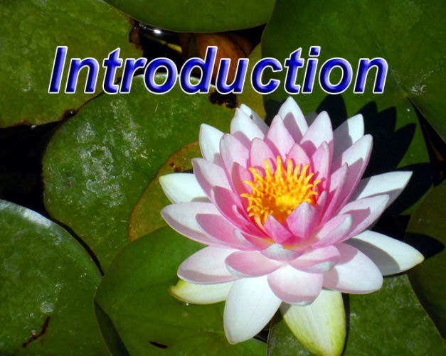 Introduction